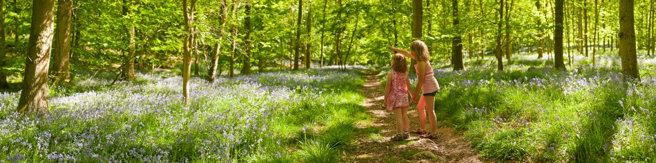 Children looking at nature idyllic summer wilderness forest trail panorama
